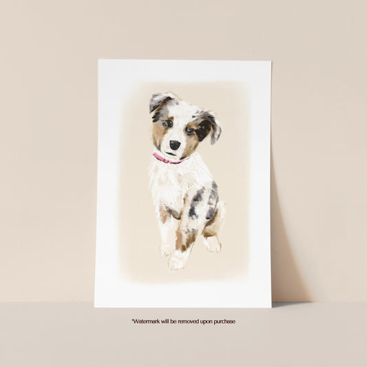 Australian Shepherd Dog Print