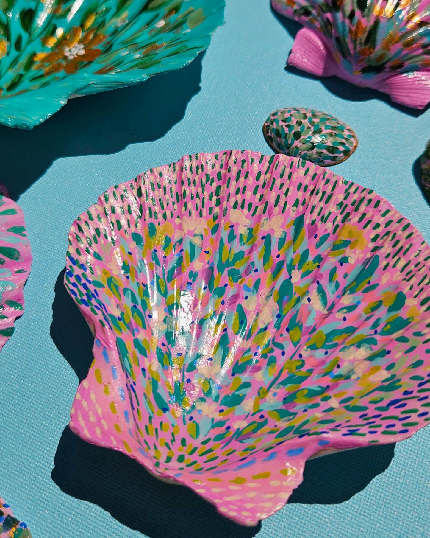 Hand Painted Shells on Canvas
