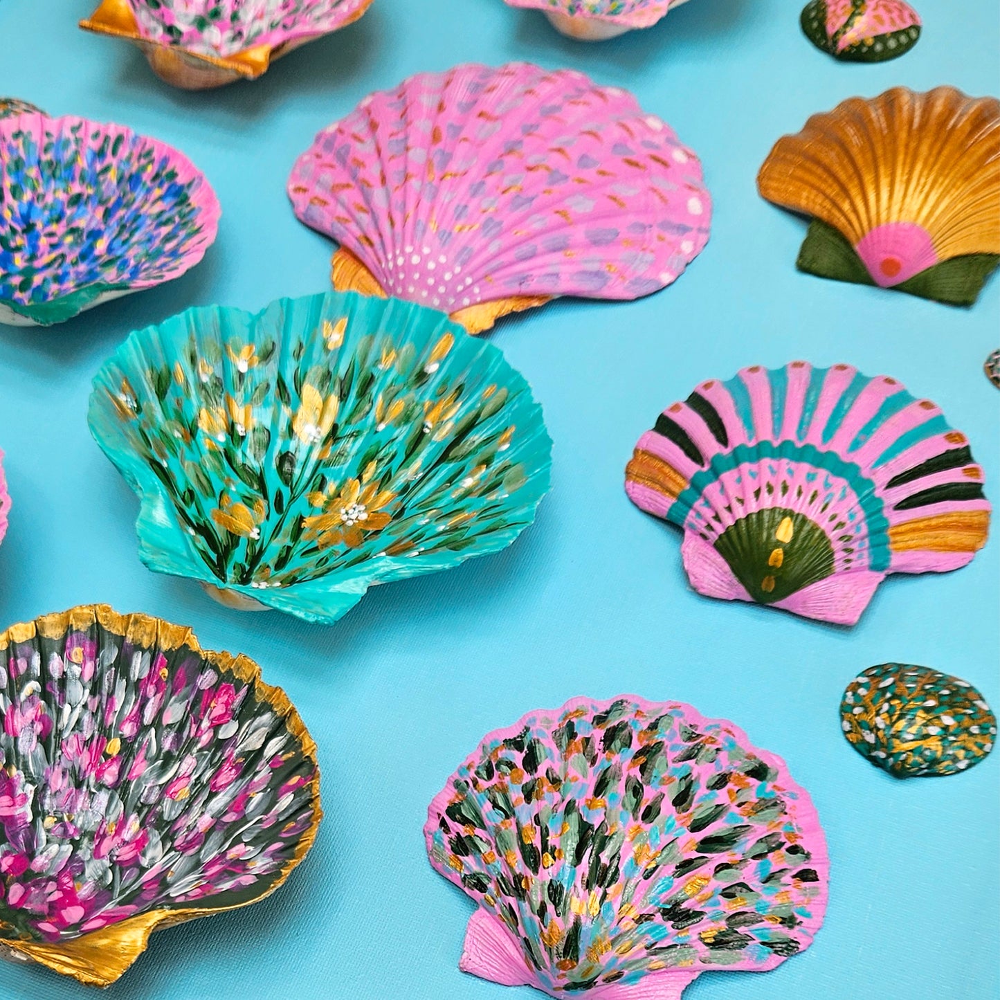 Hand Painted Shells on Canvas