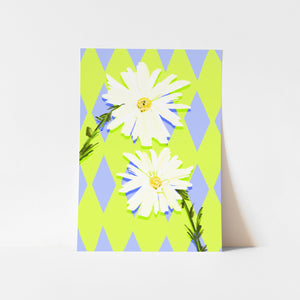 NEW April Birth Flower / Floral Art Print