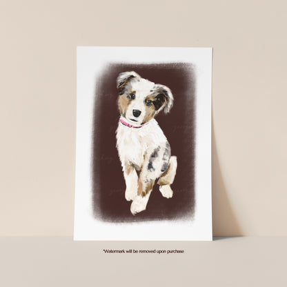 Australian Shepherd Dog Print