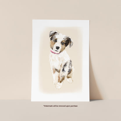 Australian Shepherd Dog Print