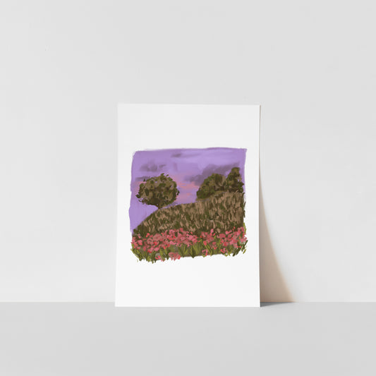 Poppy Fields / Nature Art Print